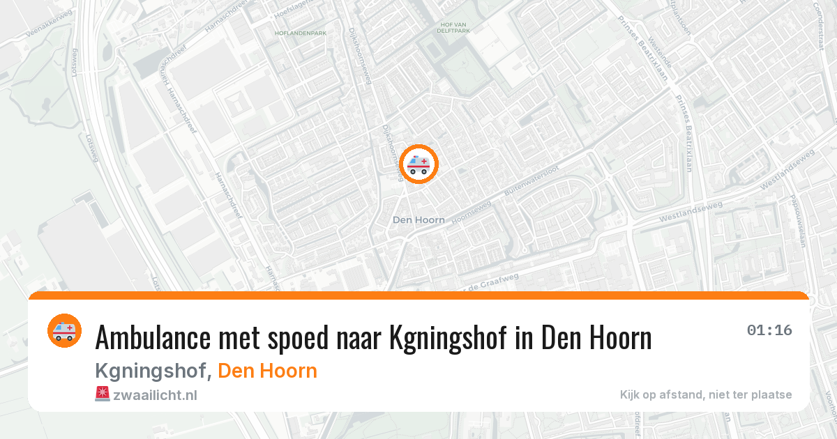 Ambulance met spoed naar Kgningshof in Den Hoorn — 30 jun 2026