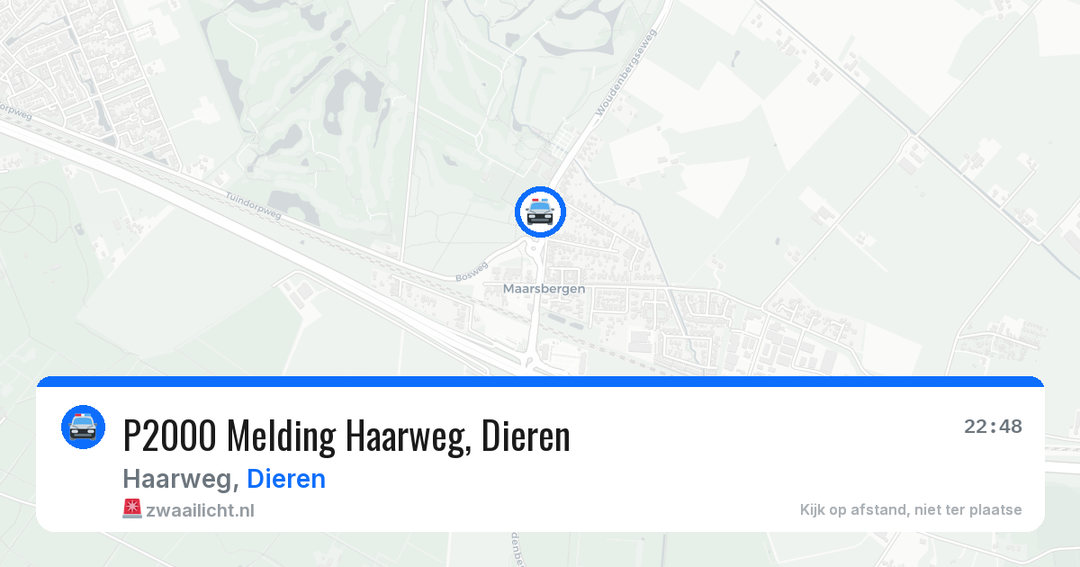 P2000 Melding Haarweg, Dieren — 10 jun 2026