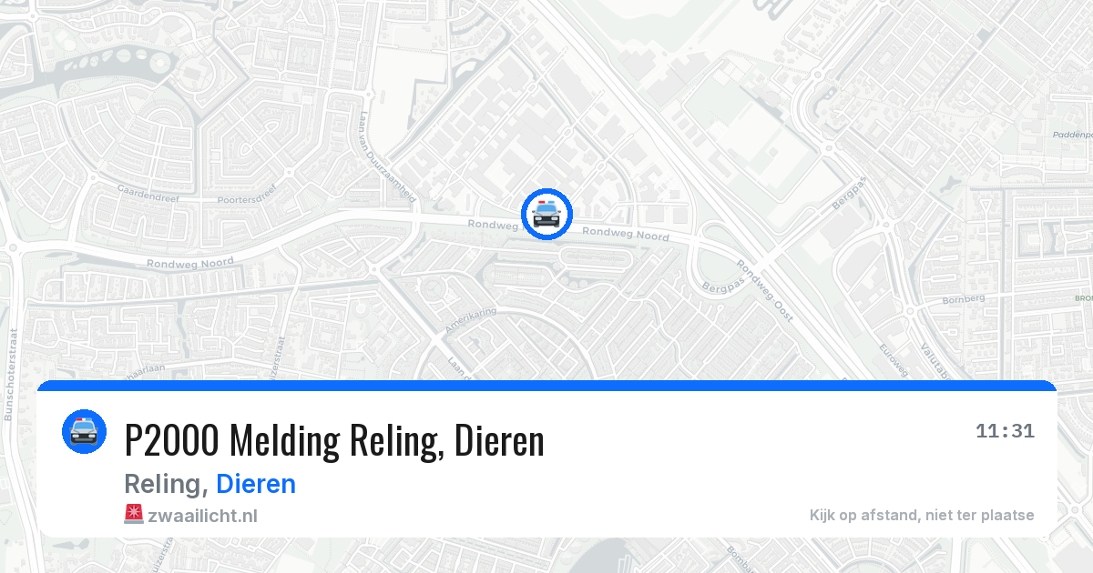 P2000 Melding Reling, Dieren — 30 jun 2026