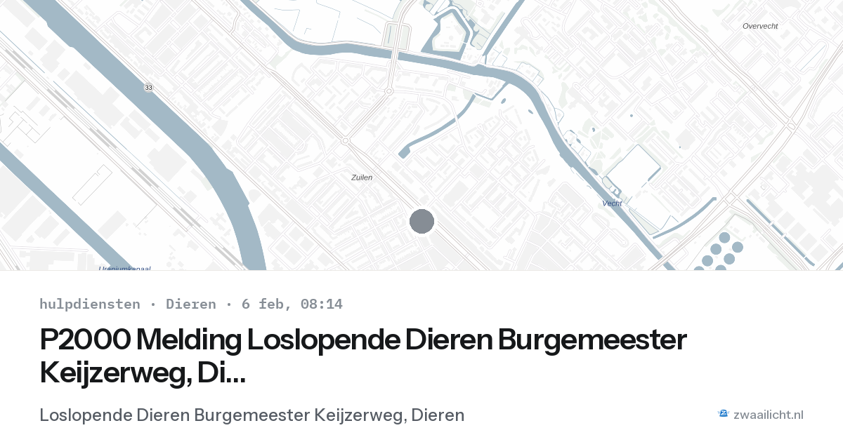 P2000 Melding Loslopende Dieren Burgemeester Keijzerweg, Dieren — 6 feb 2026