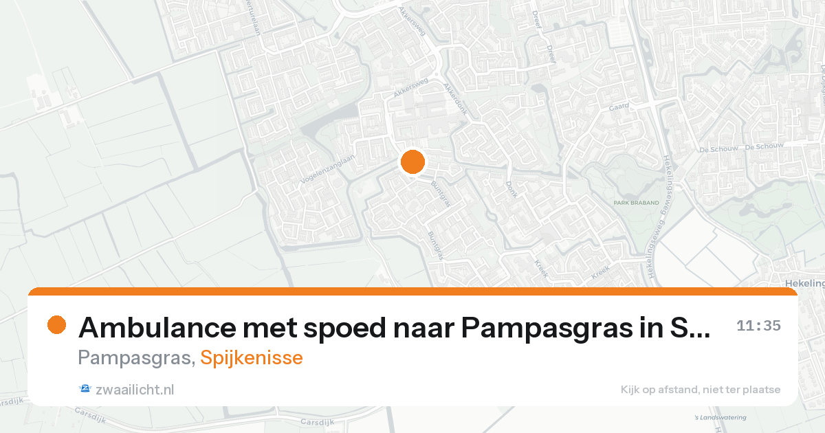 Ambulance met spoed naar Pampasgras in Spijkenisse — 31 jan 2026