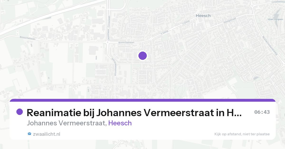 Reanimatie bij Johannes Vermeerstraat in Heesch — 15 aug 2026