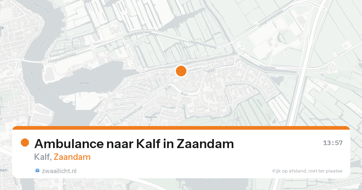 Ambulance naar Kalf in Zaandam — 1 jun 2026