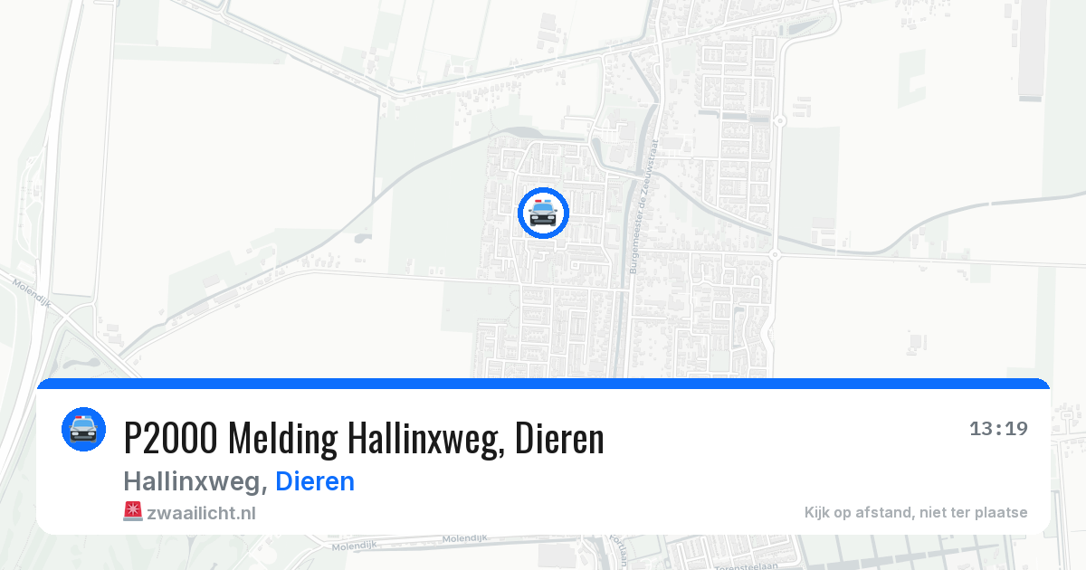P2000 Melding Hallinxweg, Dieren — 11 apr 2026