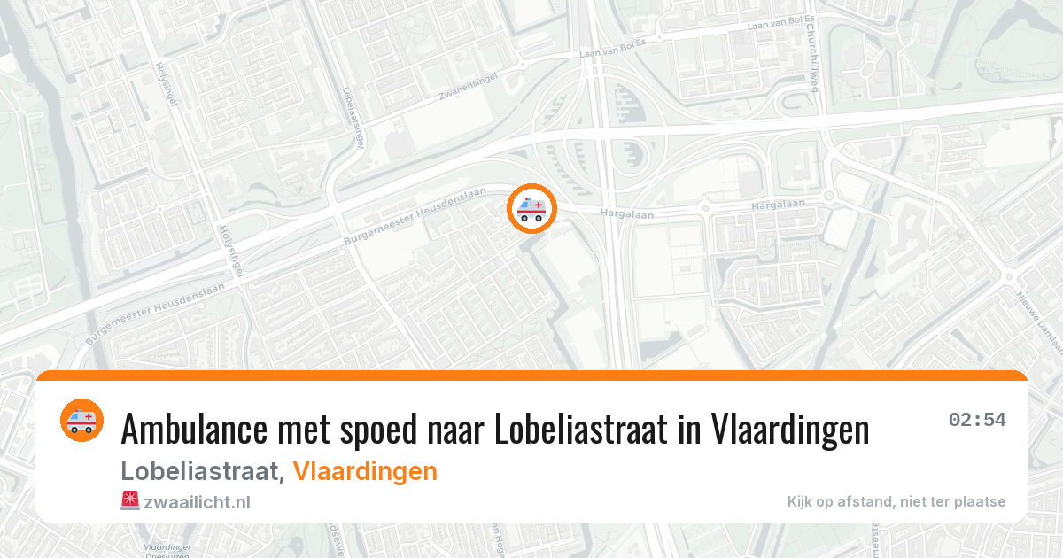 Ambulance met spoed naar Lobeliastraat in Vlaardingen — 2 aug 2026