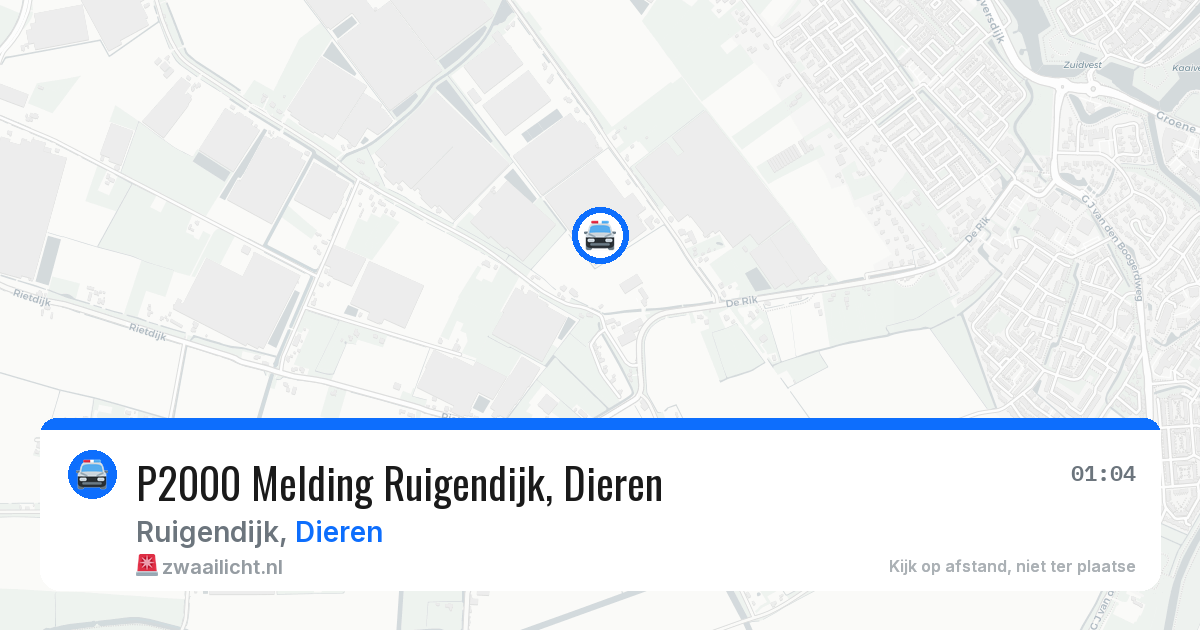 P2000 Melding Ruigendijk, Dieren — 24 mei 2026