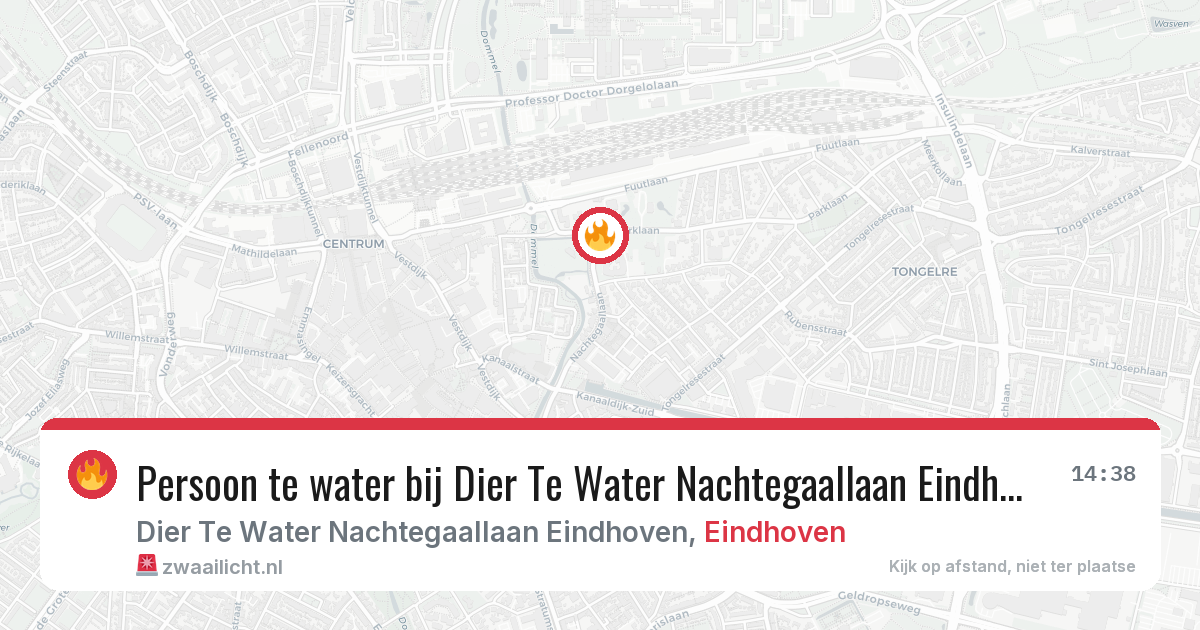 Persoon te water bij Dier Te Water Nachtegaallaan Eindhoven in Eindhoven — 11 aug 2026