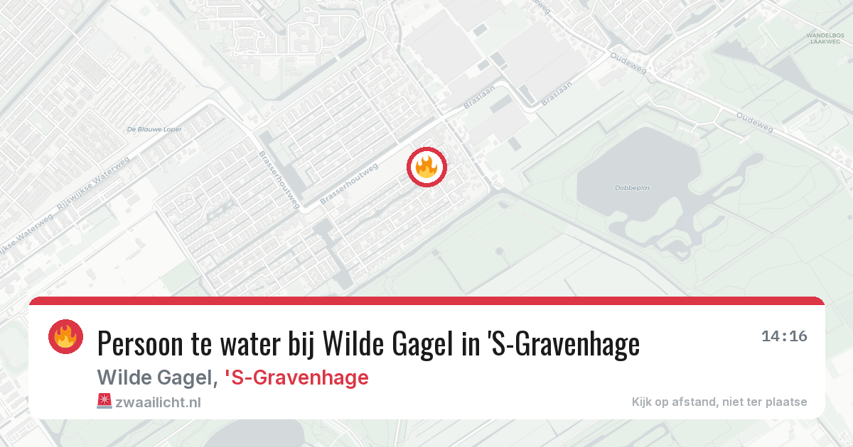 Persoon te water bij Wilde Gagel in 'S-Gravenhage — 18 jun 2026