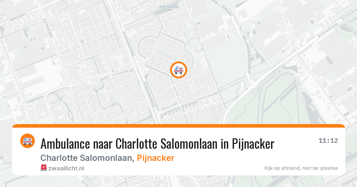 Ambulance naar Charlotte Salomonlaan in Pijnacker — 31 mrt 2026