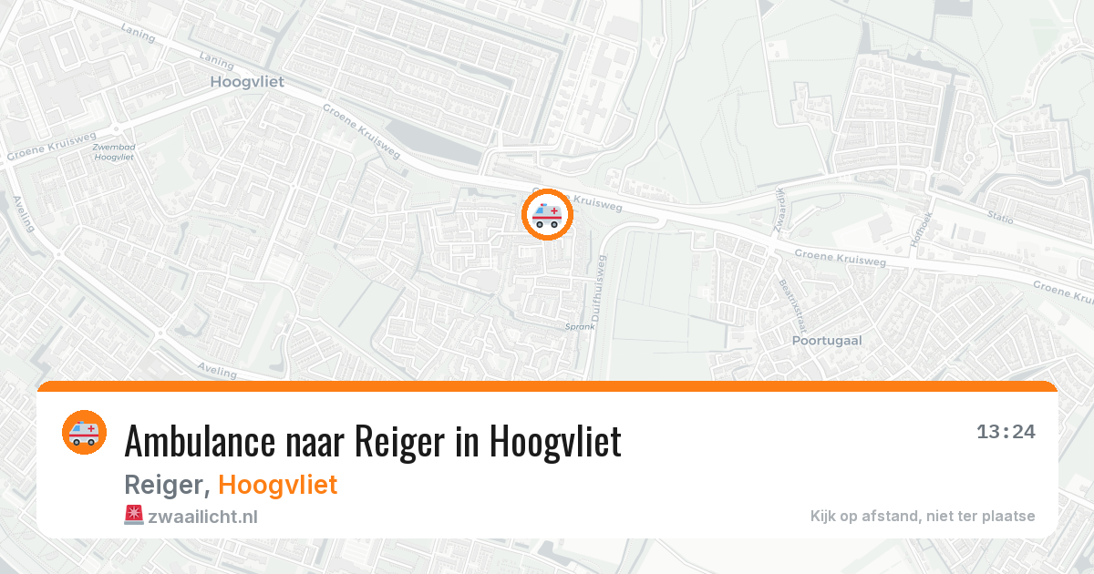 Ambulance naar Reiger in Hoogvliet — 31 jul 2026