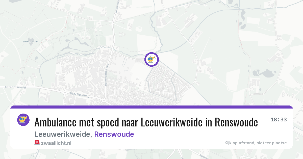 Ambulance met spoed naar Leeuwerikweide in Renswoude — 12 jun 2026