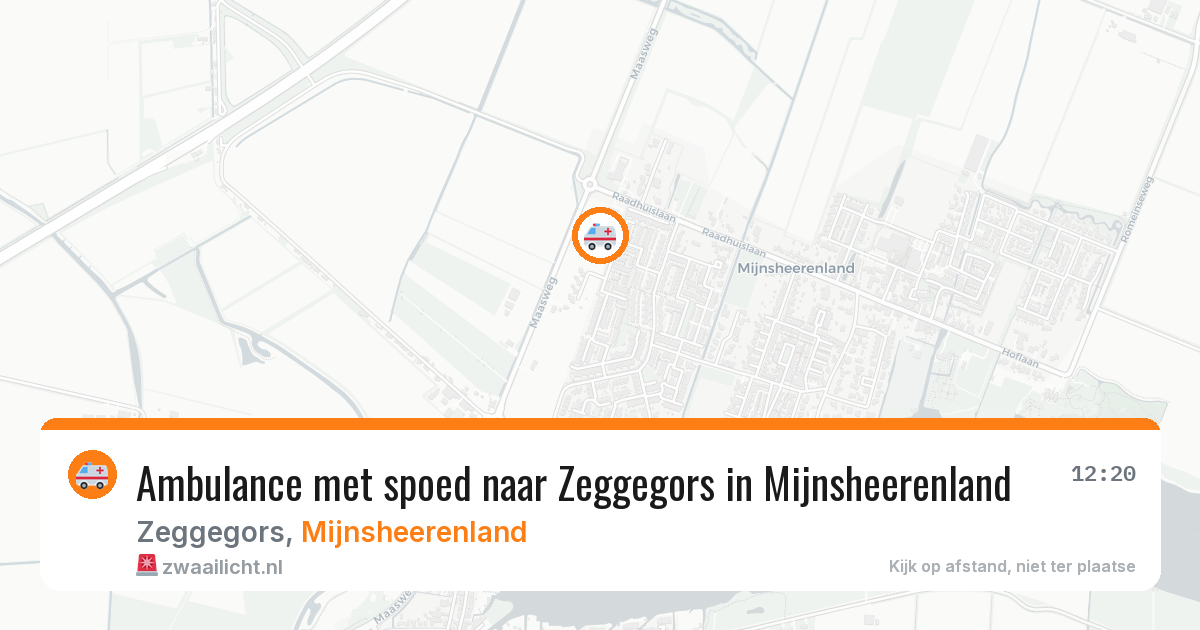 Ambulance met spoed naar Zeggegors in Mijnsheerenland — 11 aug 2026