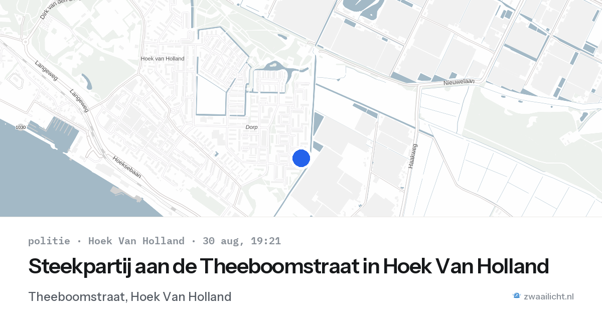 Steekpartij aan de Theeboomstraat in Hoek Van Holland — 30 aug 2026
