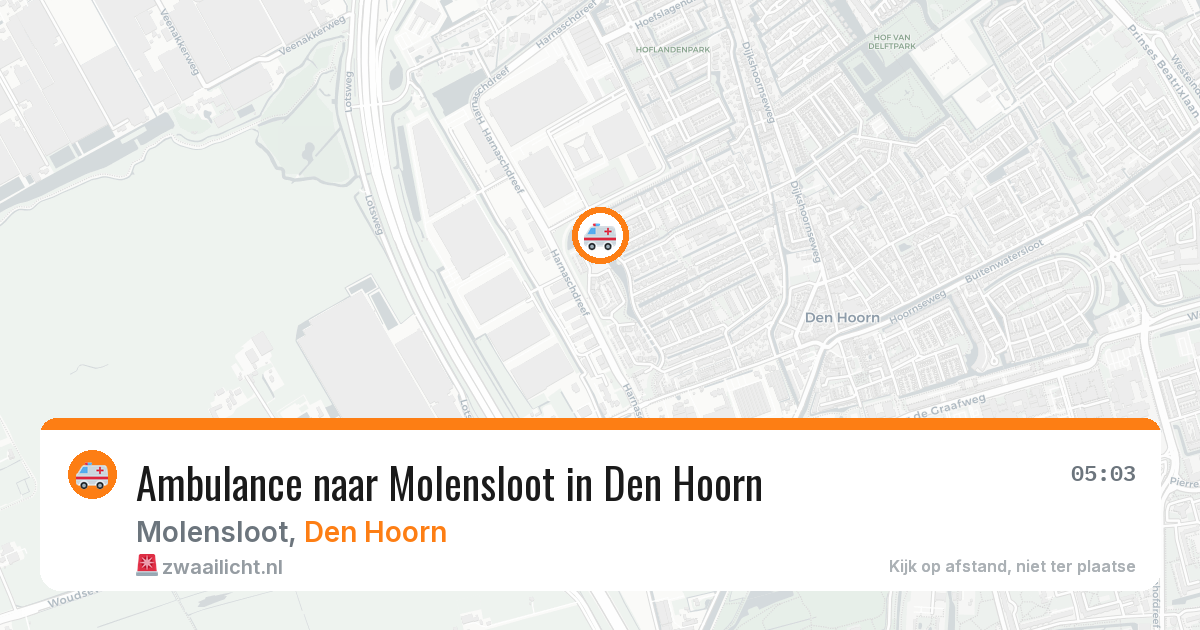 Ambulance naar Molensloot in Den Hoorn — 29 jun 2026