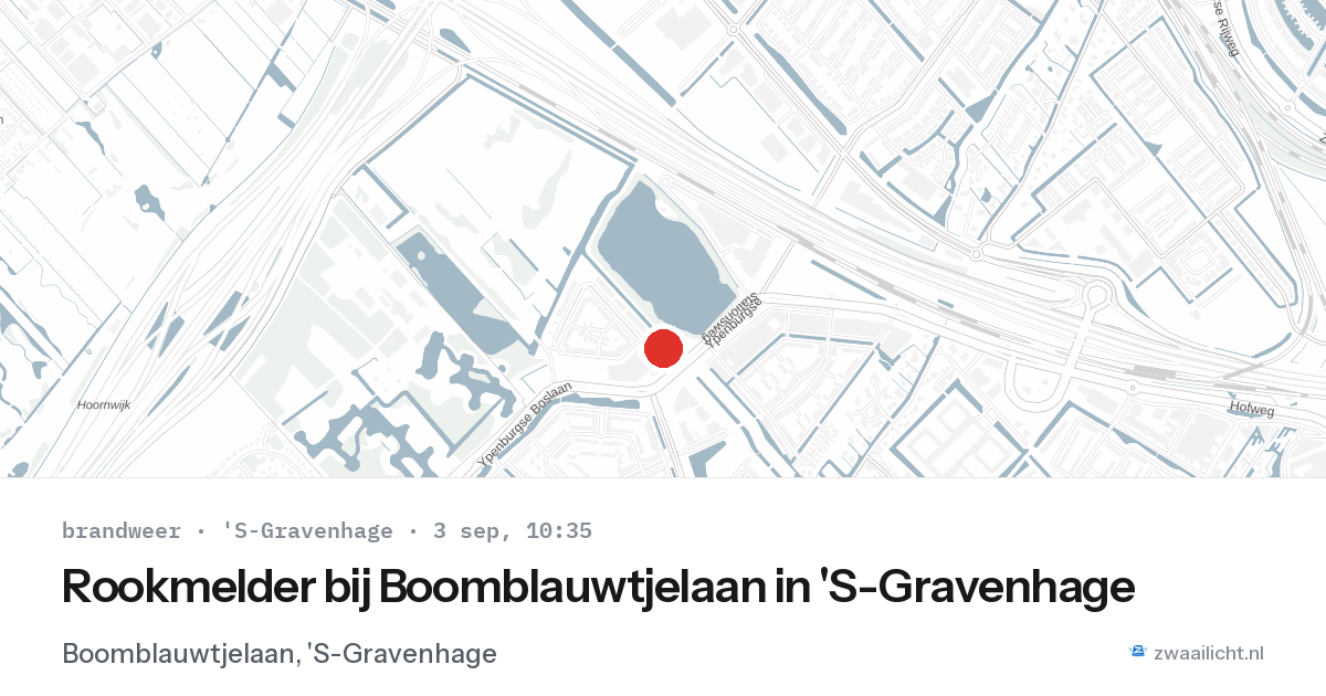 Rookmelder bij Boomblauwtjelaan in 'S-Gravenhage — 3 sep 2026