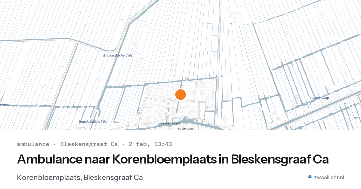 Ambulance naar Korenbloemplaats in Bleskensgraaf Ca — 2 feb 2026