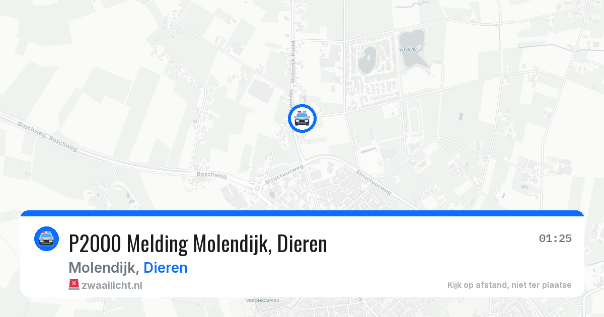 P2000 Melding Molendijk, Dieren — 25 mei 2026