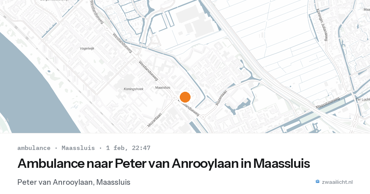 Ambulance naar Peter van Anrooylaan in Maassluis — 1 feb 2026