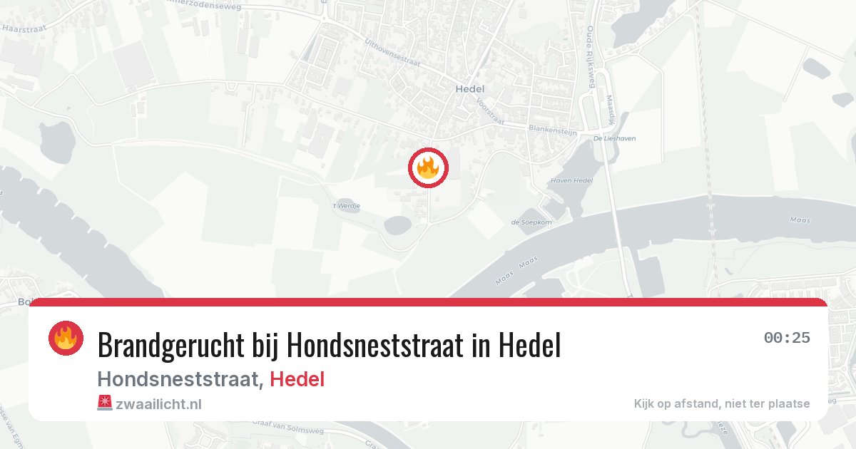 Brandgerucht bij Hondsneststraat in Hedel — 19 jun 2026
