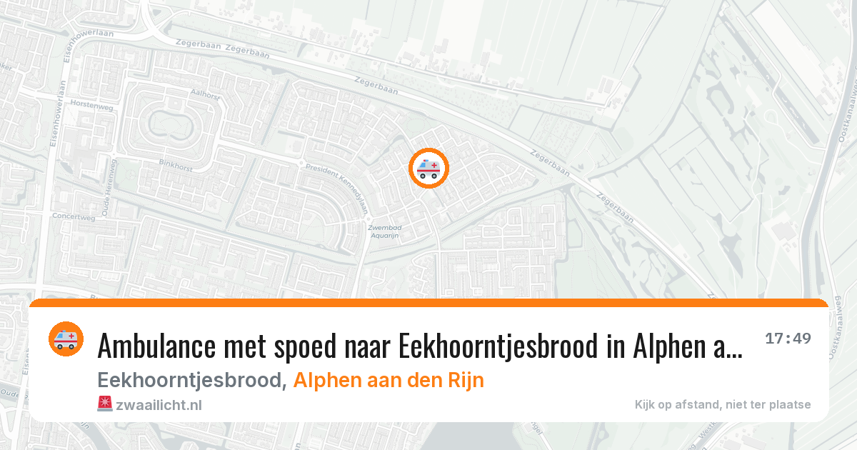 Ambulance met spoed naar Eekhoorntjesbrood in Alphen aan den Rijn — 17 jun 2026