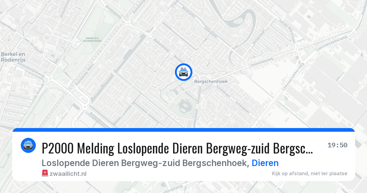 P2000 Melding Loslopende Dieren Bergweg-zuid Bergschenhoek, Dieren — 22 mei 2026