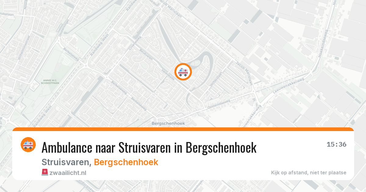 Ambulance naar Struisvaren in Bergschenhoek — 23 jul 2026