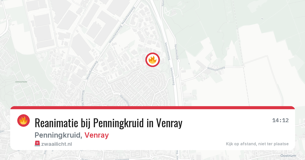 Reanimatie bij Penningkruid in Venray — 20 mei 2026