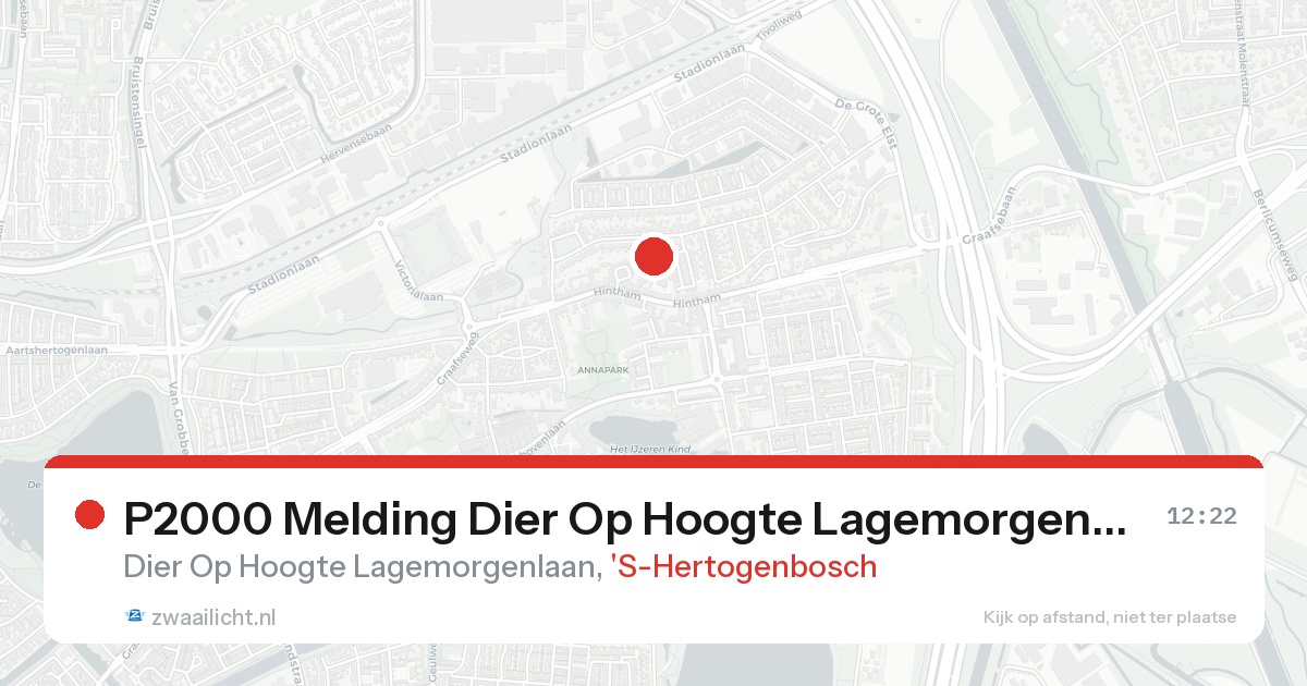 P2000 Melding Dier Op Hoogte Lagemorgenlaan, 'S-Hertogenbosch — 7 feb 2026