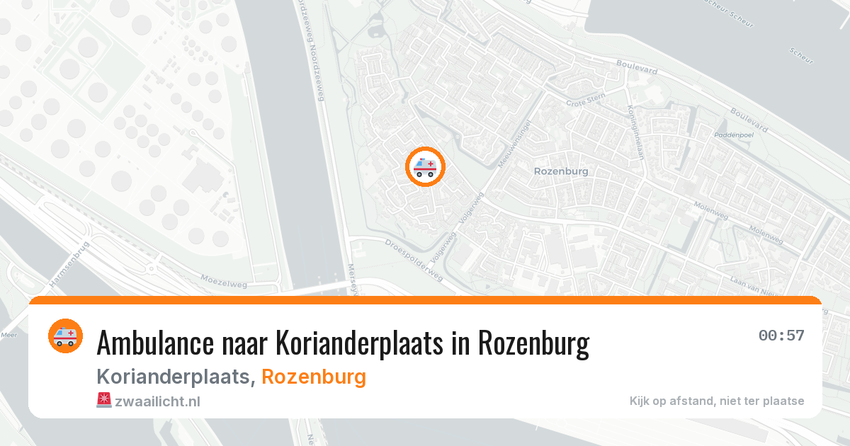 Ambulance naar Korianderplaats in Rozenburg — 29 mei 2026