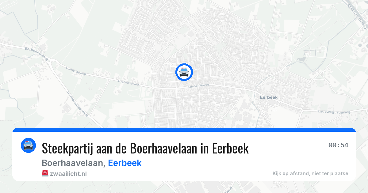 Steekpartij aan de Boerhaavelaan in Eerbeek — 20 jun 2026