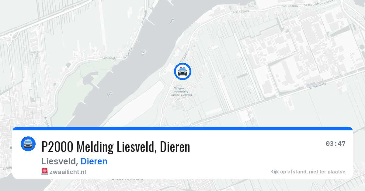 P2000 Melding Liesveld, Dieren — 24 mei 2026
