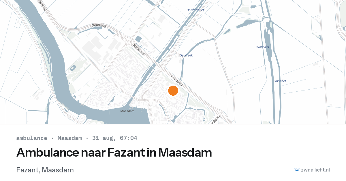 Ambulance naar Fazant in Maasdam — 31 aug 2026
