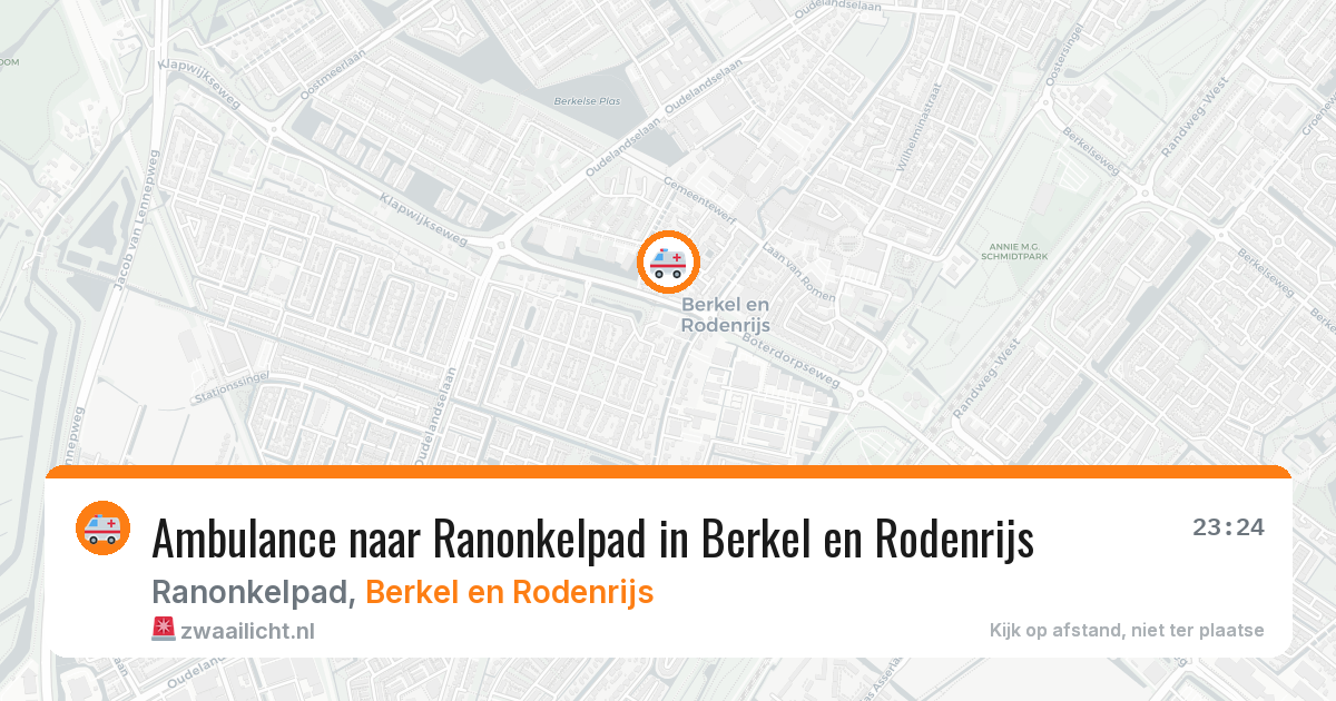 Ambulance naar Ranonkelpad in Berkel en Rodenrijs — 2 apr 2026