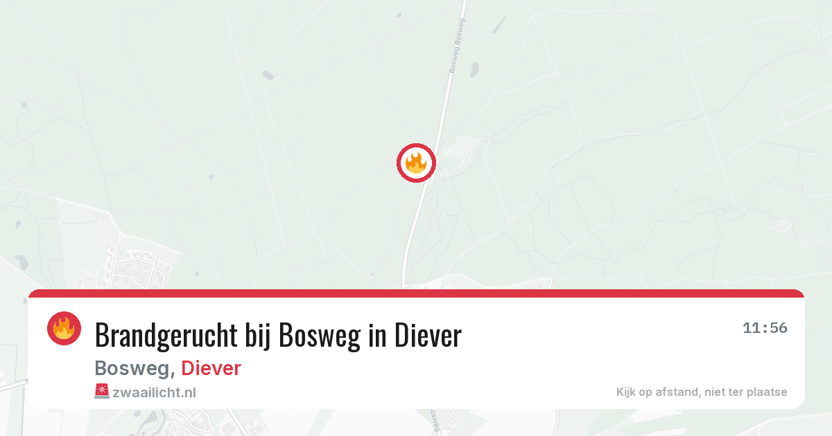 Brandgerucht bij Bosweg in Diever — 11 aug 2026
