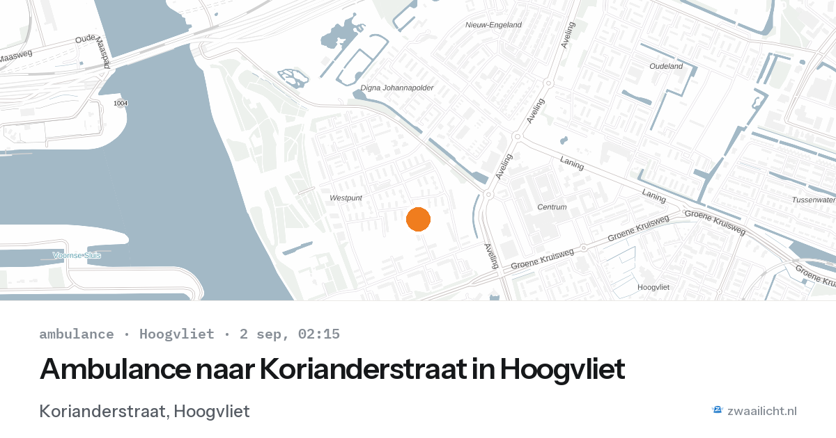Ambulance naar Korianderstraat in Hoogvliet — 2 sep 2026