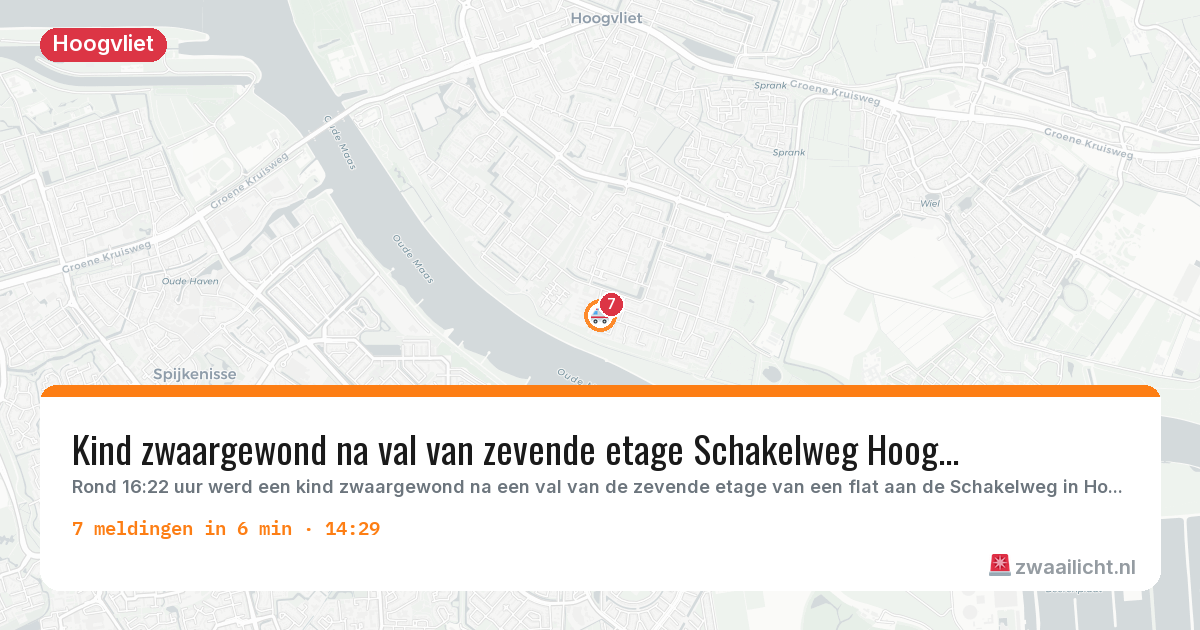 Kaart van de activiteitspiek bij Hoogvliet