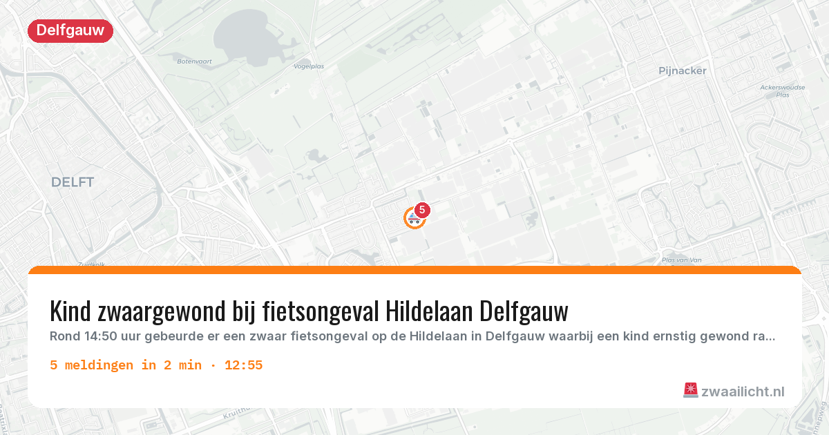 Kaart van de activiteitspiek bij Delfgauw