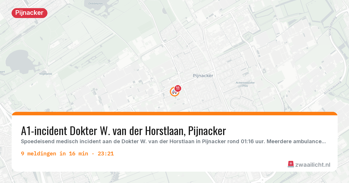 Kaart van de activiteitspiek bij Pijnacker