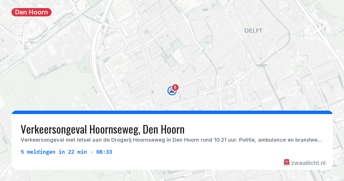 Kaart van de activiteitspiek bij Den Hoorn