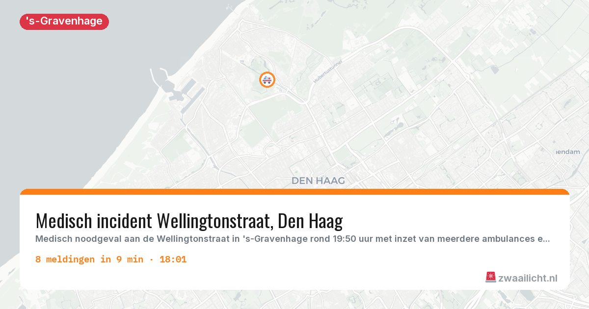 Kaart van de activiteitspiek bij 's-Gravenhage