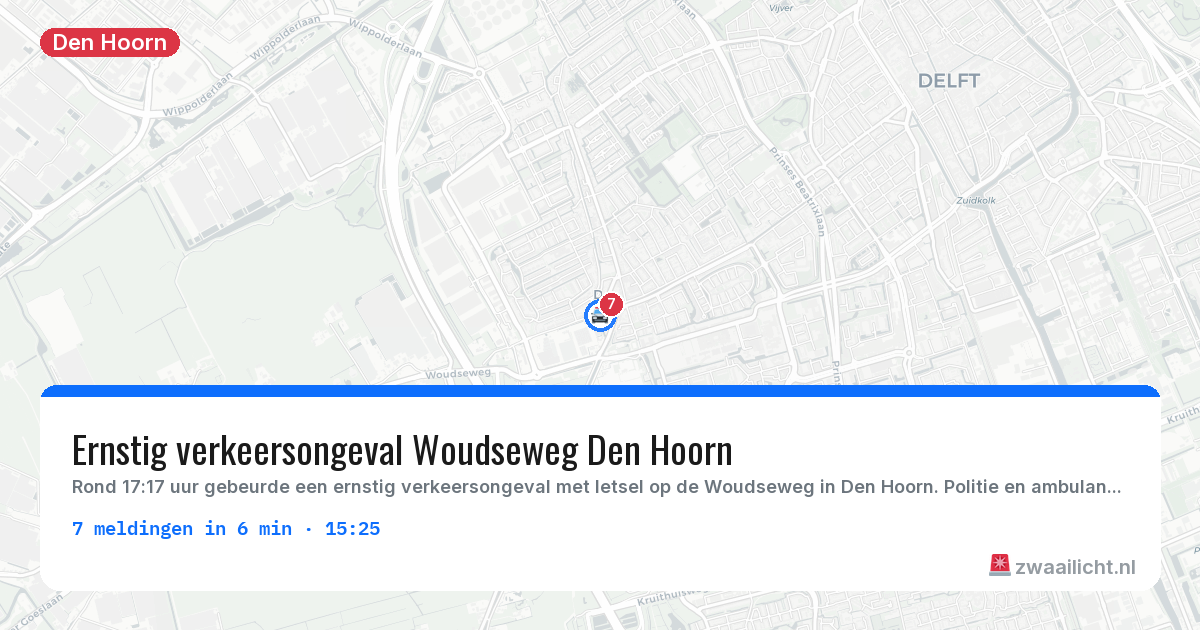 Kaart van de activiteitspiek bij Den Hoorn