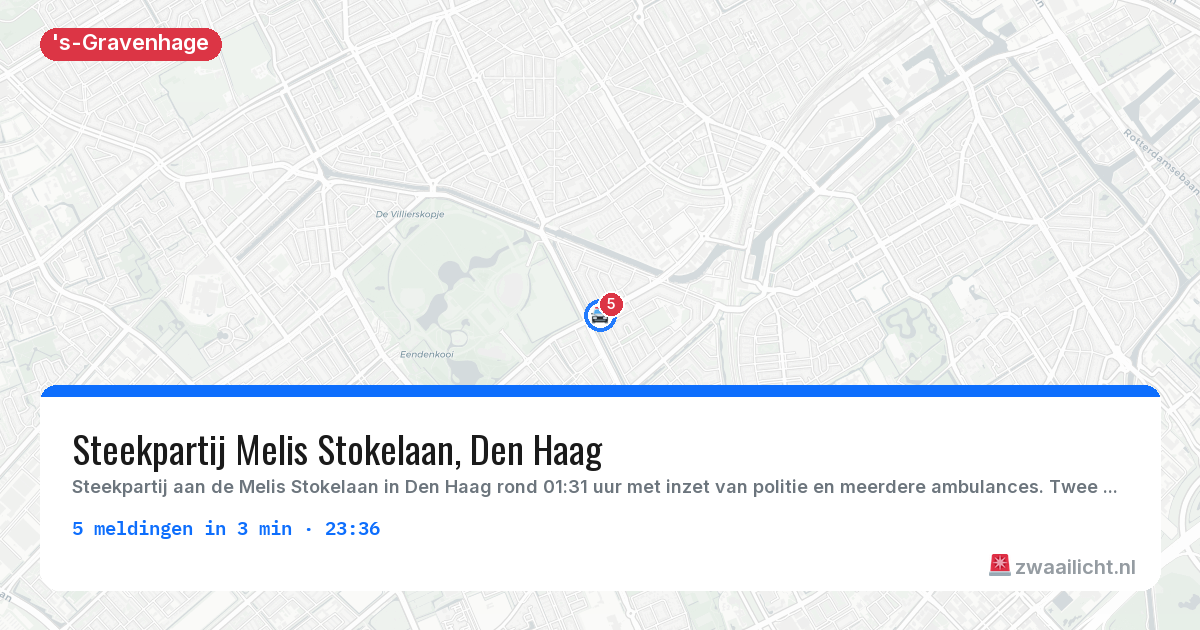 Kaart van de activiteitspiek bij 's-Gravenhage