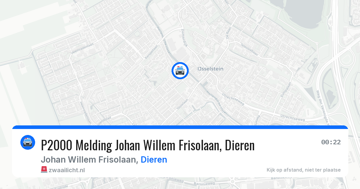 P2000 Melding Johan Willem Frisolaan, Dieren — 23 mei 2026