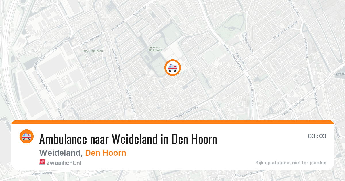 Ambulance naar Weideland in Den Hoorn — 10 aug 2026
