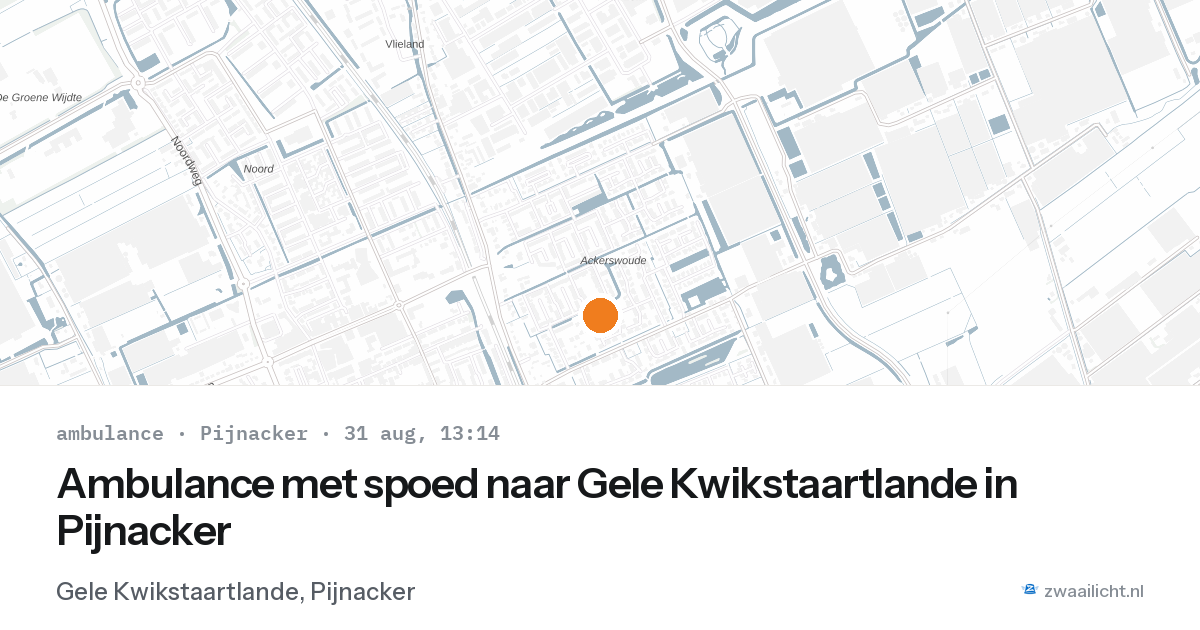 Ambulance met spoed naar Gele Kwikstaartlande in Pijnacker — 31 aug 2026