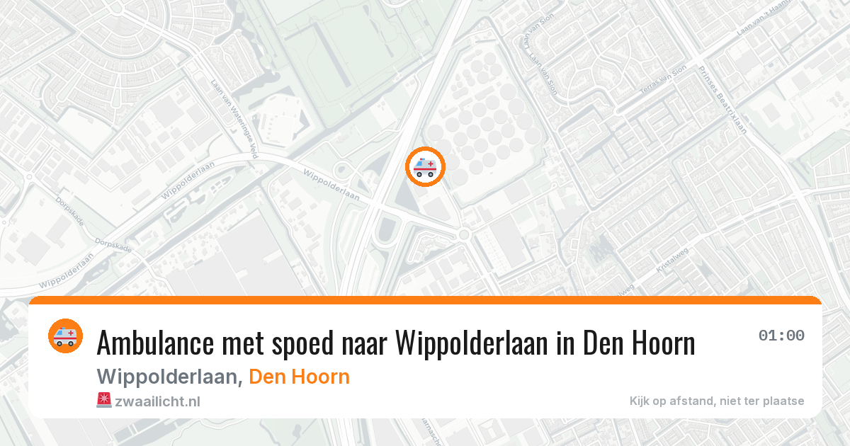 Ambulance met spoed naar Wippolderlaan in Den Hoorn — 31 jul 2026