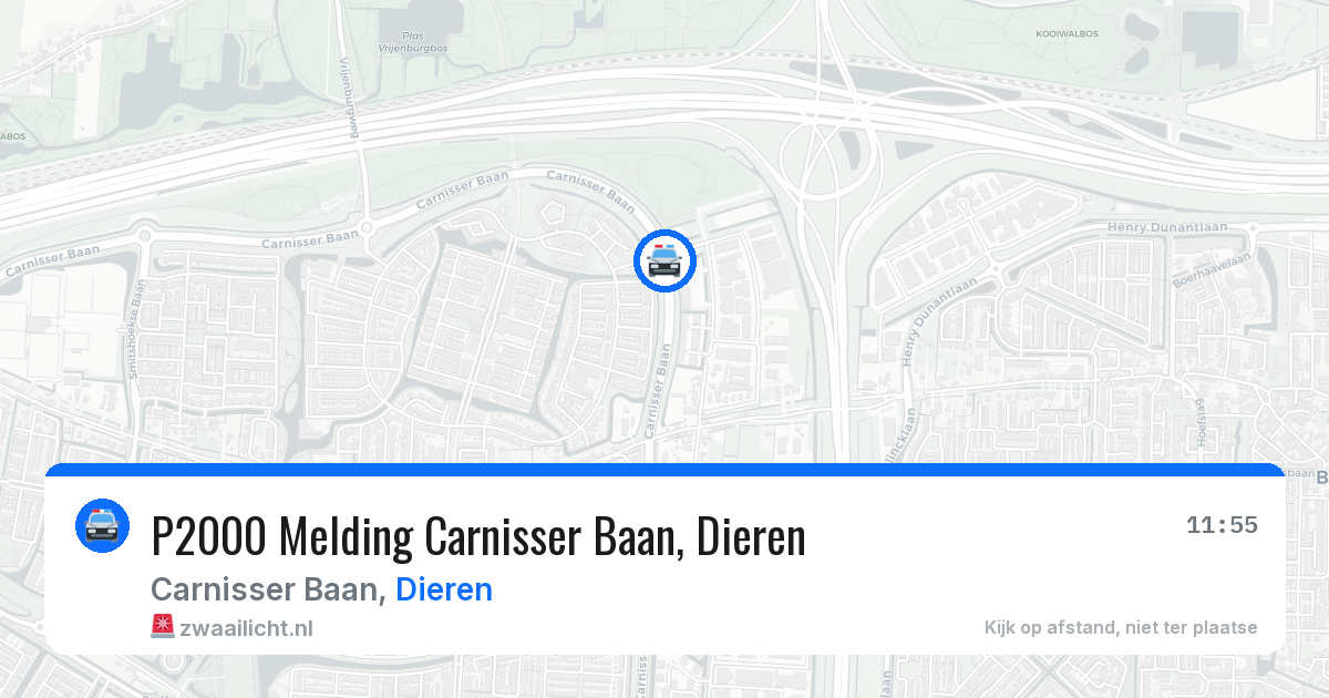 P2000 Melding Carnisser Baan, Dieren — 2 aug 2026