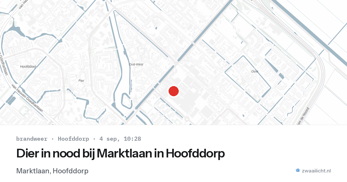 Dier in nood bij Marktlaan in Hoofddorp — 4 sep 2026