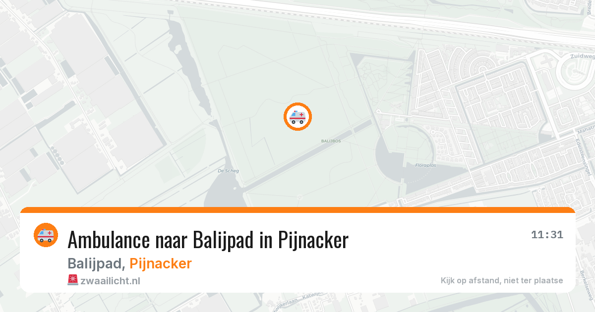 Ambulance naar Balijpad in Pijnacker — 23 jun 2026
