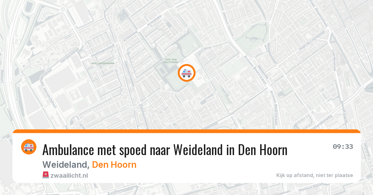 Ambulance met spoed naar Weideland in Den Hoorn — 13 aug 2026